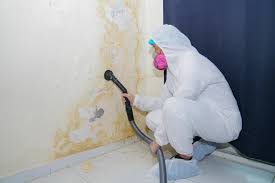 Mold Odor Removal Services in Murray, UT